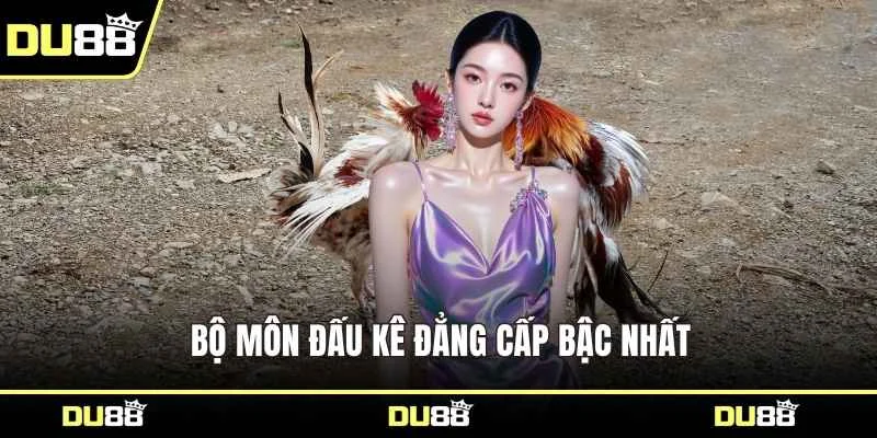 Bộ môn đấu kê đẳng cấp bậc nhất