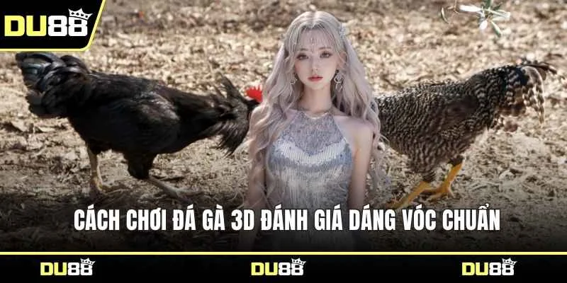 Cách chơi đá gà 3D đánh giá dáng vóc chuẩn