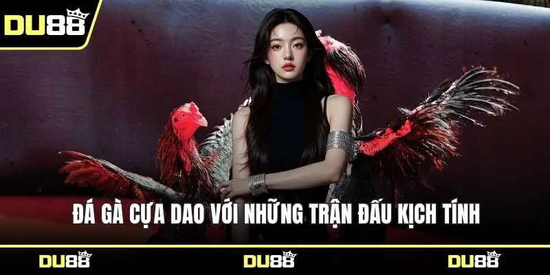 Đá gà cựa dao với những trận đấu kịch tính