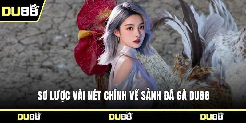 Sơ lược vài nét chính về sảnh đá gà DU88