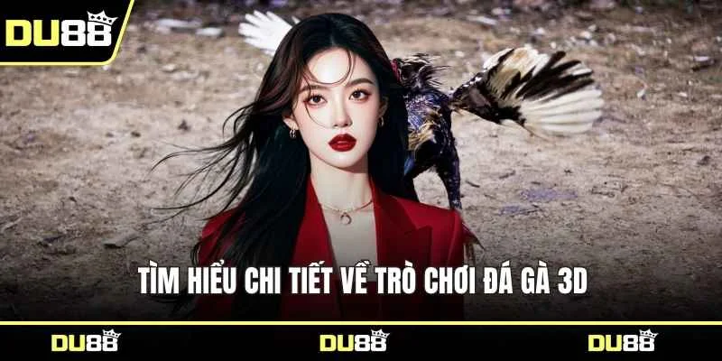 Tìm hiểu chi tiết về trò chơi đá gà 3D